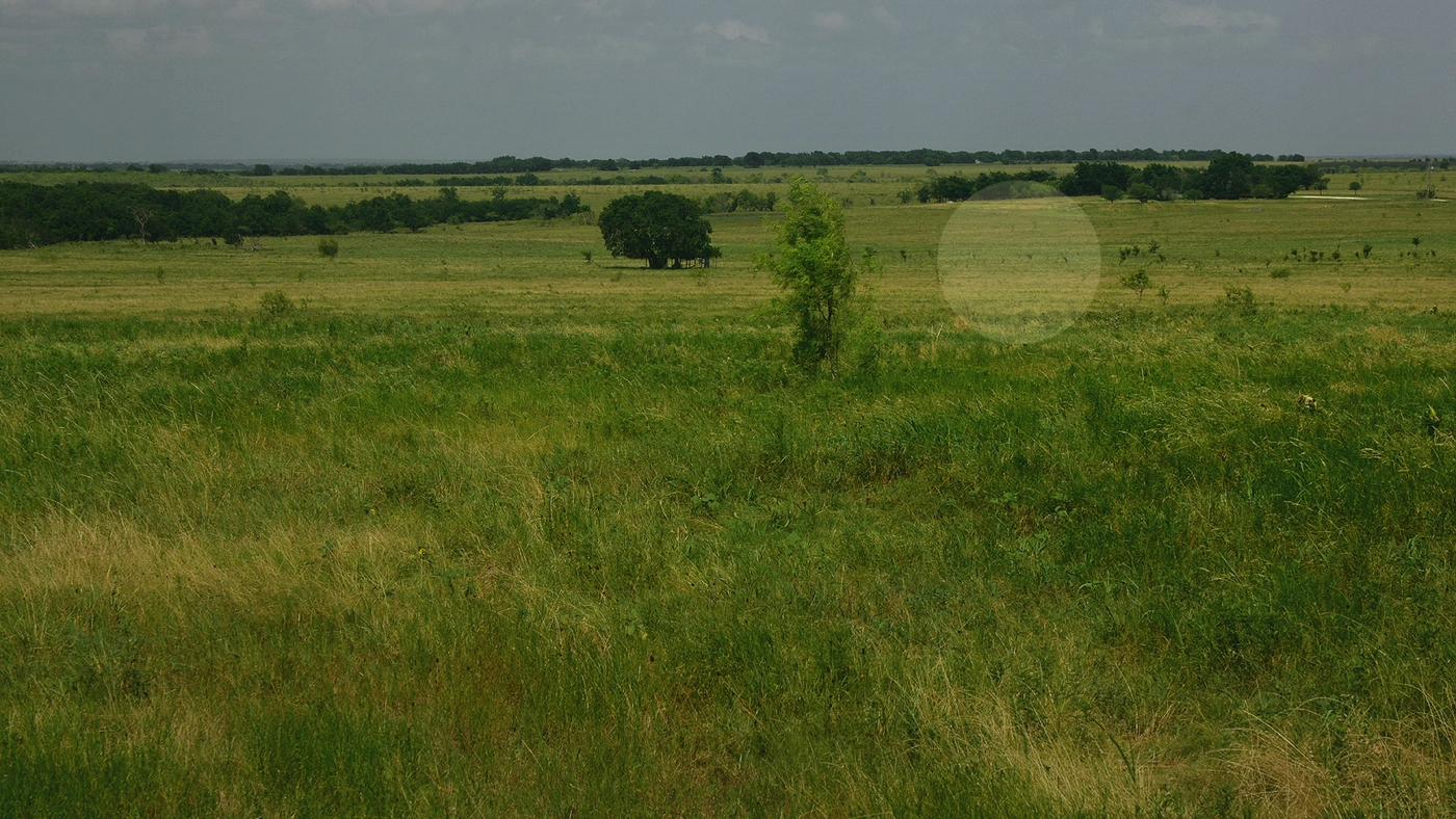 How to Sell Land Fast in Texas Texas land guide