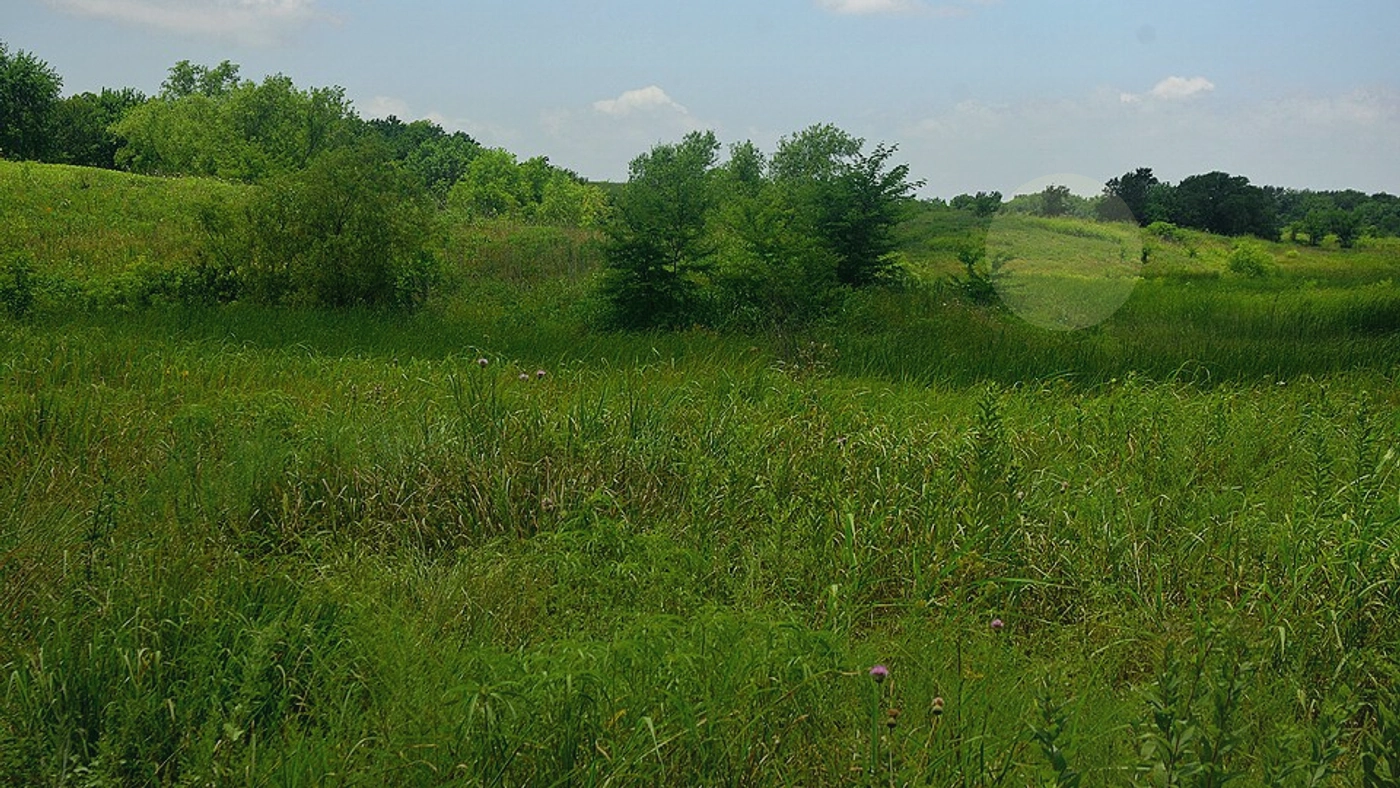 How to Sell Land Online in Texas Texas land guide