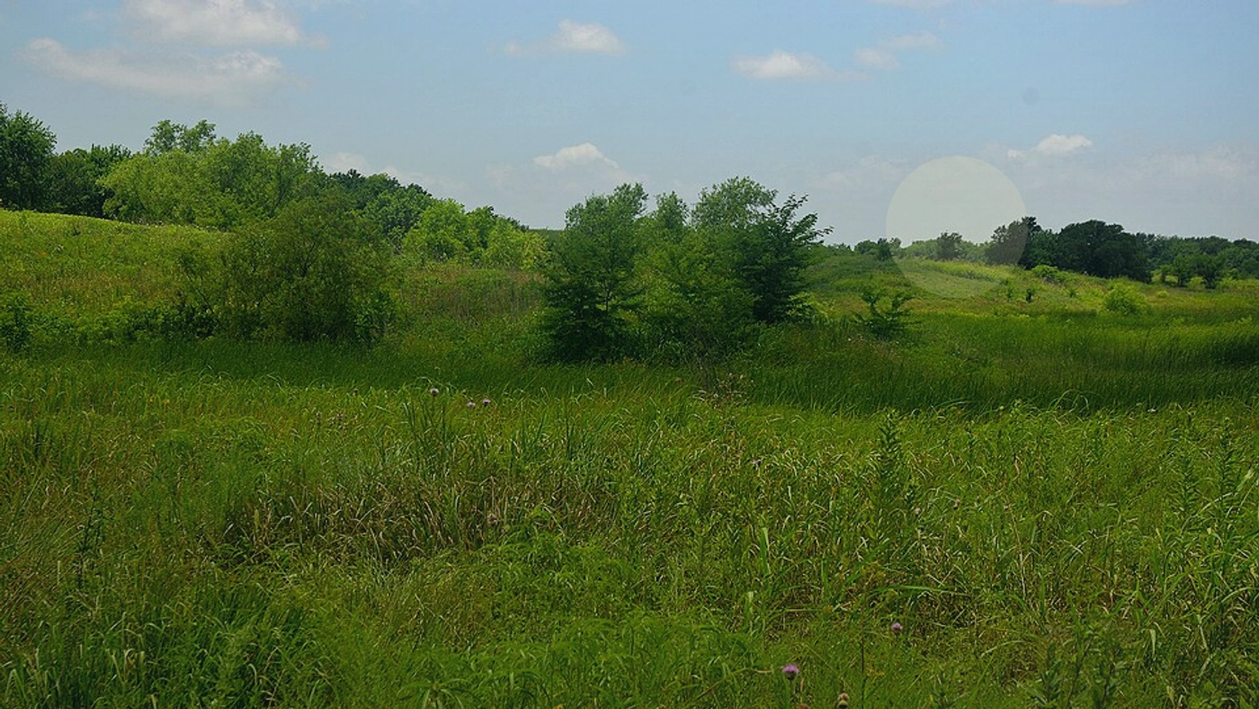 How to Sell Land Without a Realtor in Texas Texas land guide