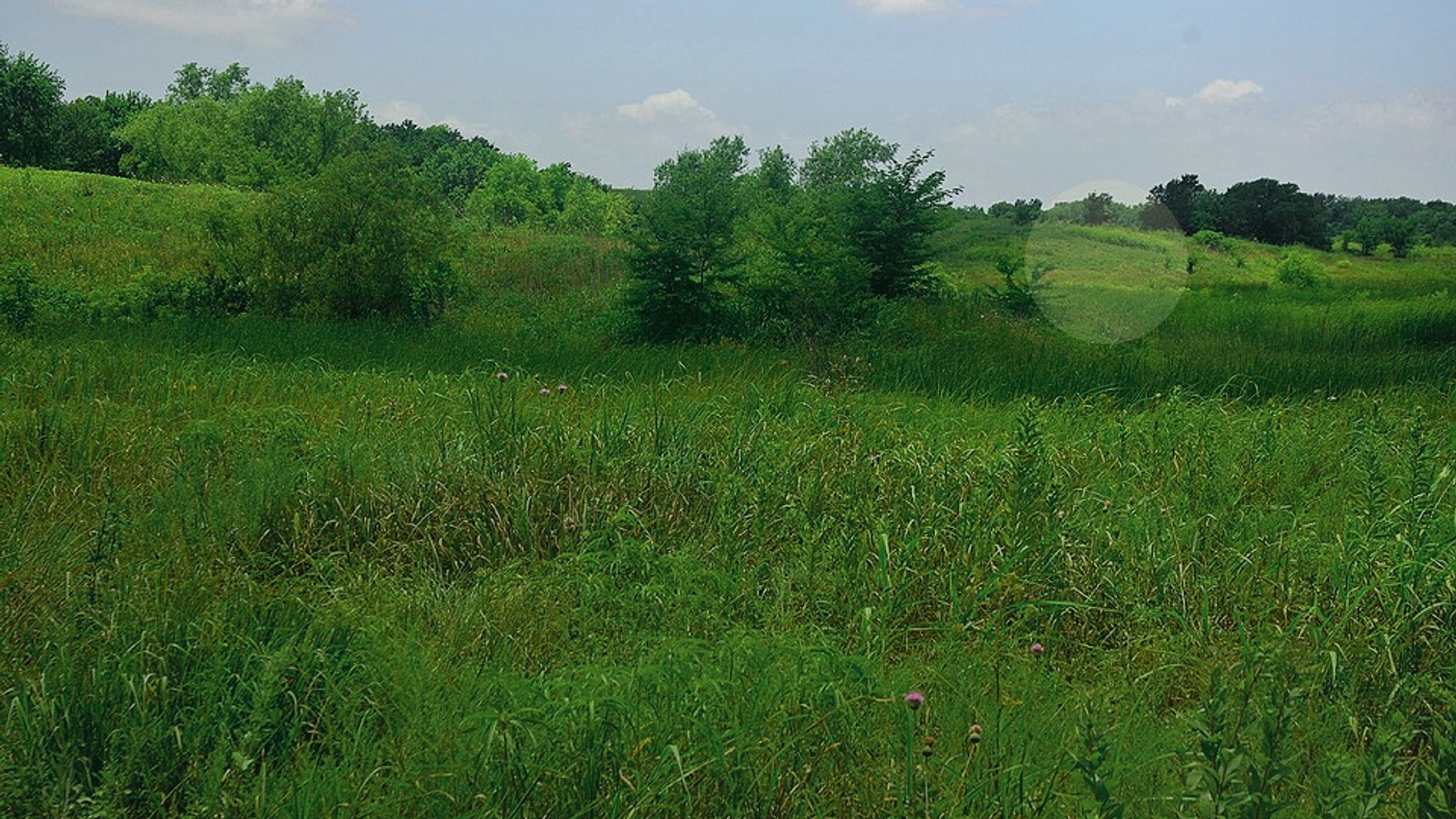 Selling Land to a Developer in Texas Texas land guide