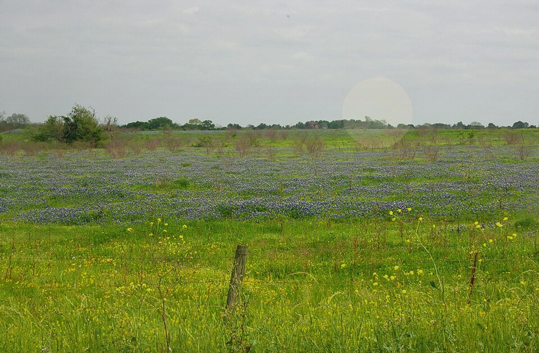 Inherited Texas land deed, tax record, and parcel map review
