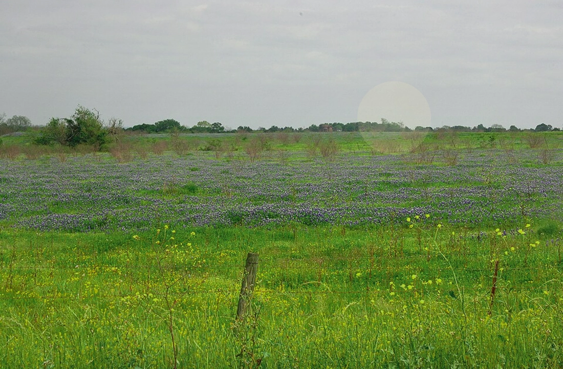 Texas land records and parcel facts for How to Sell Land Fast in Texas