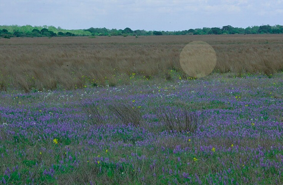 Texas title and closing preparation for How to Sell Land Fast in Texas