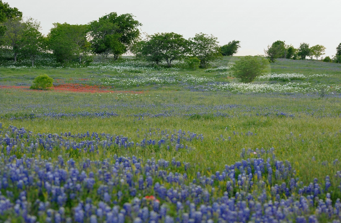 Texas title and closing preparation for Legal Documents for Selling Land in Texas