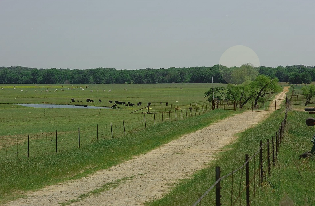 Texas land records and parcel facts for Selling Land to a Developer in Texas