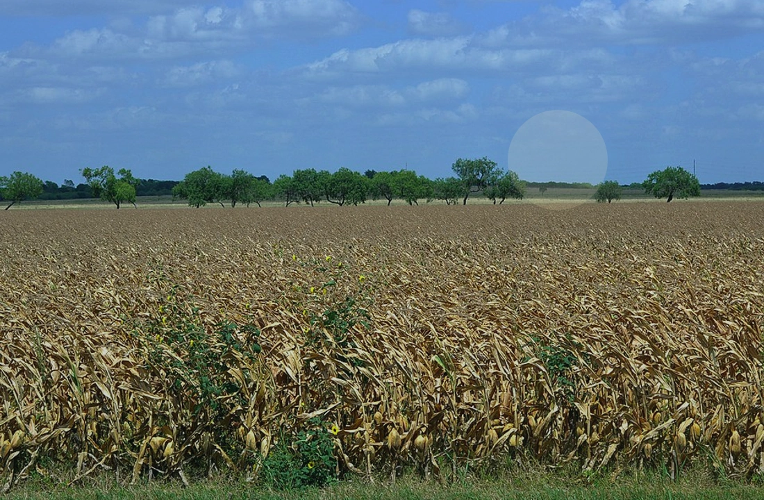 Texas land records and parcel facts for Tax on Selling Land in Texas