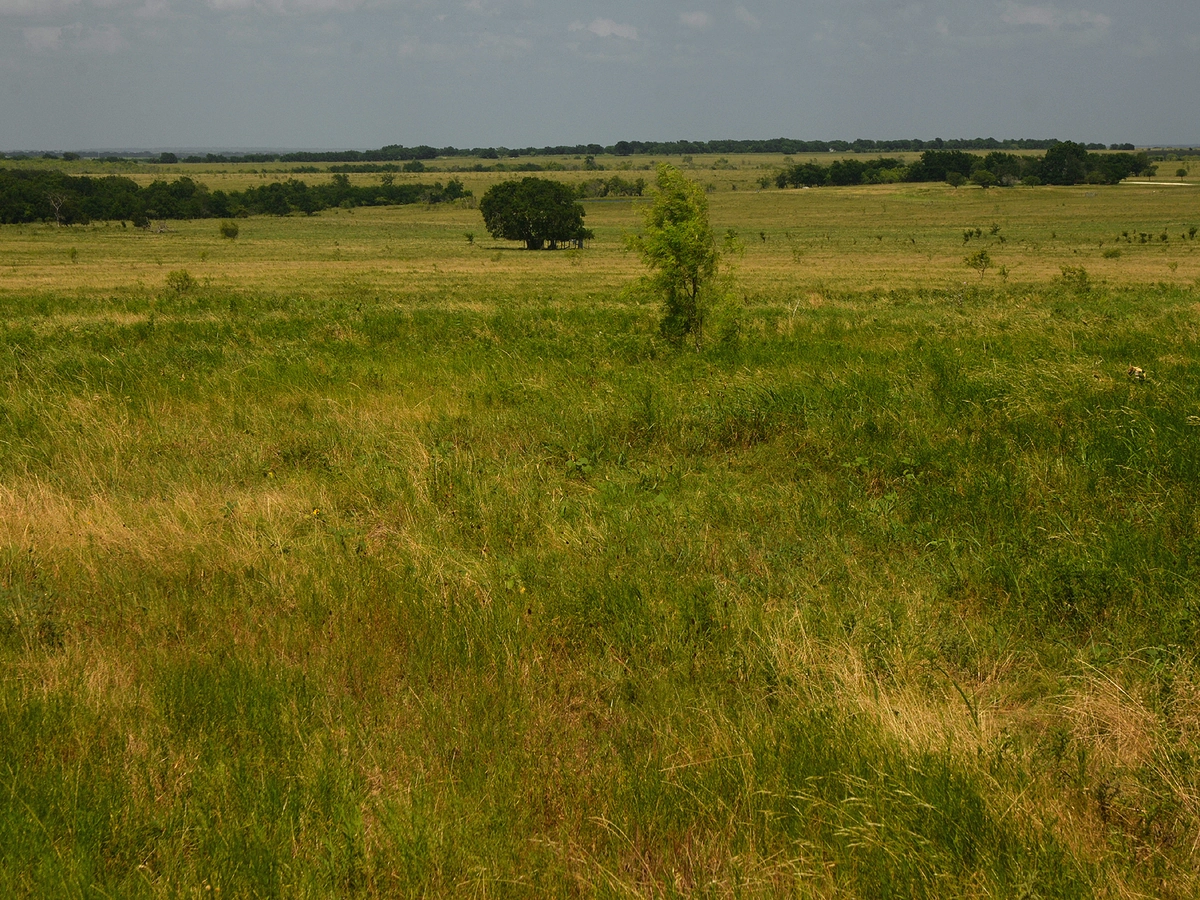 Ranch Acreage in Harris County