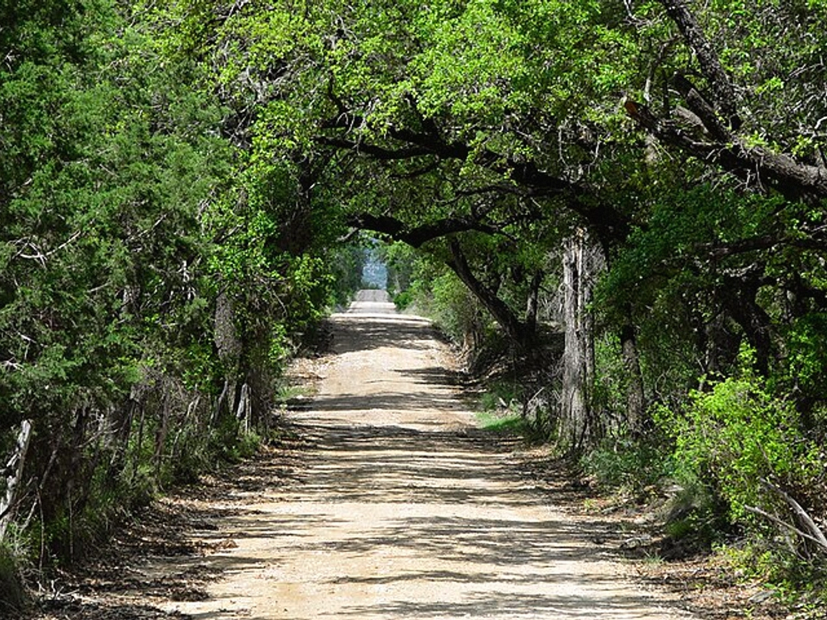 Rural Access Parcels in Harris County