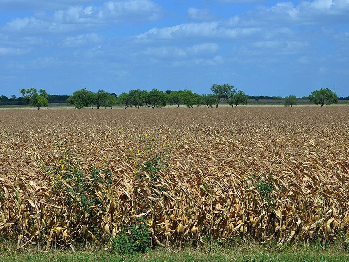 Vacant Lots in Harris County